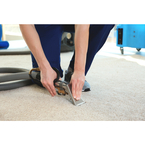 Angel Carpet Cleaning - North Hollywood, CA, USA