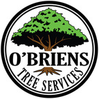 O’Briens Tree Services - Curtin, ACT, Australia