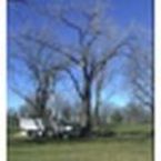 Okoboji Tree Specialists - Milford, IA, USA