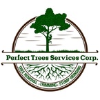 Perfect Trees Services Corp - Fort Lauderdale, FL, USA