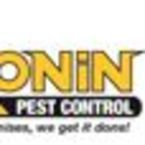 Termite PestControl LongBeach - Lakewood, CA, USA