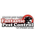 Pest Control Kingston logo