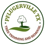 Pflugerville TX Tree Trimming and Removal - Cedar Park, TX, USA