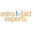 Astra Mold Experts - Dallas, TX, USA