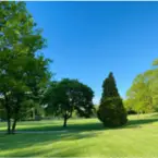 Flora Lawn & Landscaping Inc - Pawtucket, RI, USA