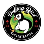 Puffing Bird - Richmond, BC, Canada
