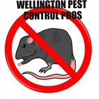 Wellington Pest Control Pros - Wellington Central, Wellington, New Zealand