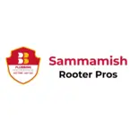 Sammamish Plumbing, Drain and Rooter Pros - Sammamish, WA, USA