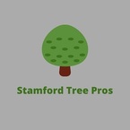 Stamford Tree Pros - Stamford, CT, USA