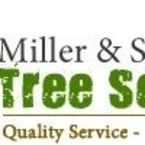 Miller Son Tree Service - Tampa, FL, USA