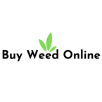 Buy Weed Online - Toronto, ON, Canada