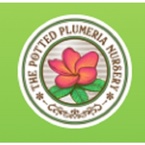 The Potted Plumeria Nursery - Fort Lauderdale, FL, USA
