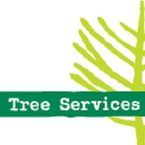 Trav's Tree Services - Kew, VIC, Australia