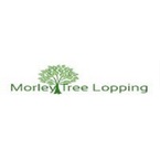 Tree Lopper Morley - Morley, WA, Australia