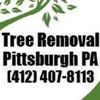 Tree Removal Pittsburgh PA - Pittsburgh, PA, USA