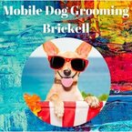 Mobile Dog Grooming Brickell - Miami, FL, USA
