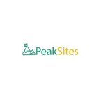PeakSites Website Design - Baltimore, MD, USA