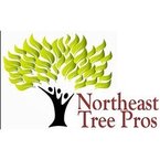 Northeast Tree Pros - Portland, ME, USA