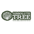 Absolute Tree - Ontario, NY, USA