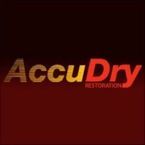 AccuDry Inc - Oxford, MI, USA