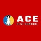 Ace Termite Control Brisbane - Brisbane, QLD, Australia