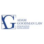 Adam Goodman Law - Criminal Lawyers Toronto - Tornoto, ON, Canada