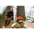 Airdrie Tree Service Pros - Airdrie, AB, Canada
