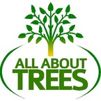 All About Trees - Gilbert, AZ, USA