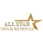 All Star Mold Removal Chicago - Chicago, IL, USA