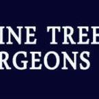 Alpine Tree Surgeons - Liss, Hampshire, United Kingdom