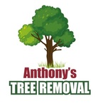 Anthony\'s Tree Removal - Bloomington, IN, USA