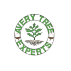 Avery tree Experts LLC - Red Bank, NJ, USA