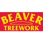 Beaver Treework - Nottingham, Nottinghamshire, United Kingdom