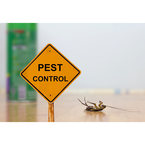 Bedbugs Control Brisbane - Brisbane, QLD, Australia