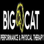 Big Cat Performance & Physical Therapy - North Canton, OH, USA