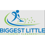 BIGGEST LITTLE CARPET CLEANERS - Reno, NV, USA