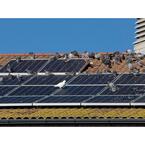 Bird Proofing Glasgow (Solar Pigeon Kits) - Glasgow, Fife, United Kingdom