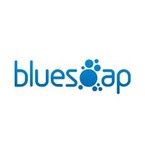 BlueSoap Website Design - Zetland, NSW, Australia