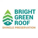 Bright Green Roof - Detroit, MI, USA