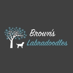 Brown\'s Labradoodles - Reidsville, NC, USA