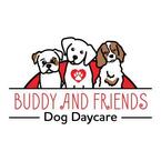 Buddy and Friend\'s Dog Daycare - Buffalo, NY, USA