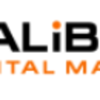 Calibrate Digital Marketing - Springfield, MO, USA