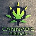 Cannabis SEO Marketing Las Vegas - Las Vegas, NV, USA
