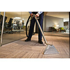 Professional Carpet Cleaning Brighton - Brighton, VIC, Australia