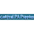 Central PA puppies - Windsor, PA, USA