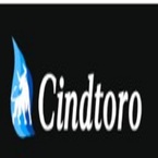 Cindtoro: Digital Marketing Orlando - Orlando, FL, USA
