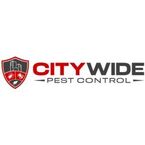City Wide Pest Control Perth - Perth, WA, Australia