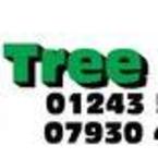 CM Tree Care - Bognor Regis, West Sussex, United Kingdom