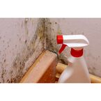 Coral Ridge Mold Inspections - Coral Springs, FL, USA