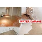Water Damage Process - Erie, MI, USA